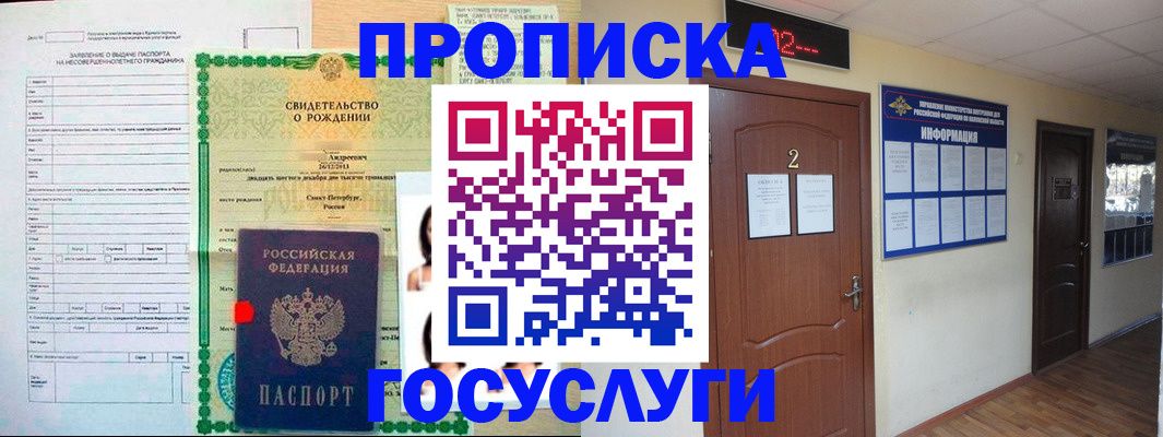 прописка законно в Борзе